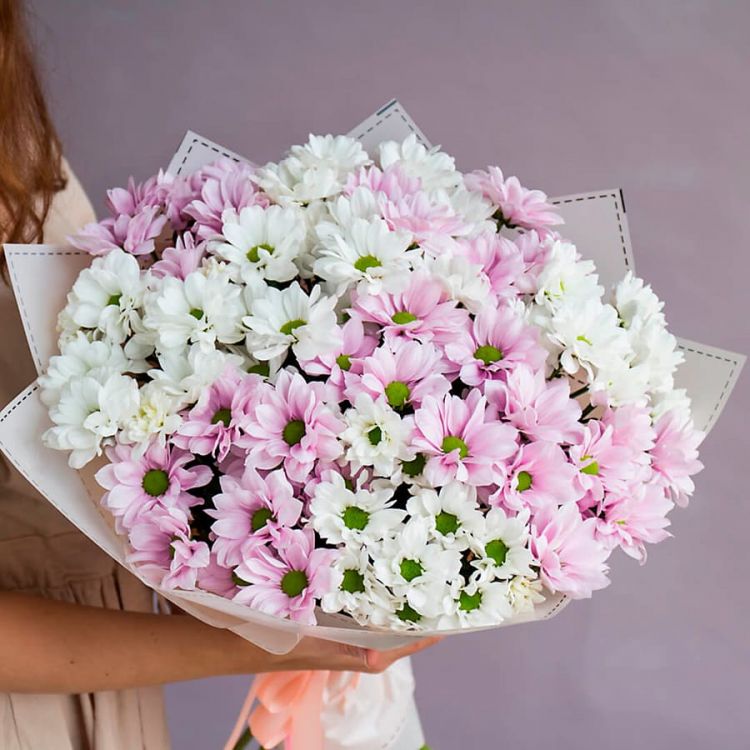 Ромашковое поле от 6 240 руб.